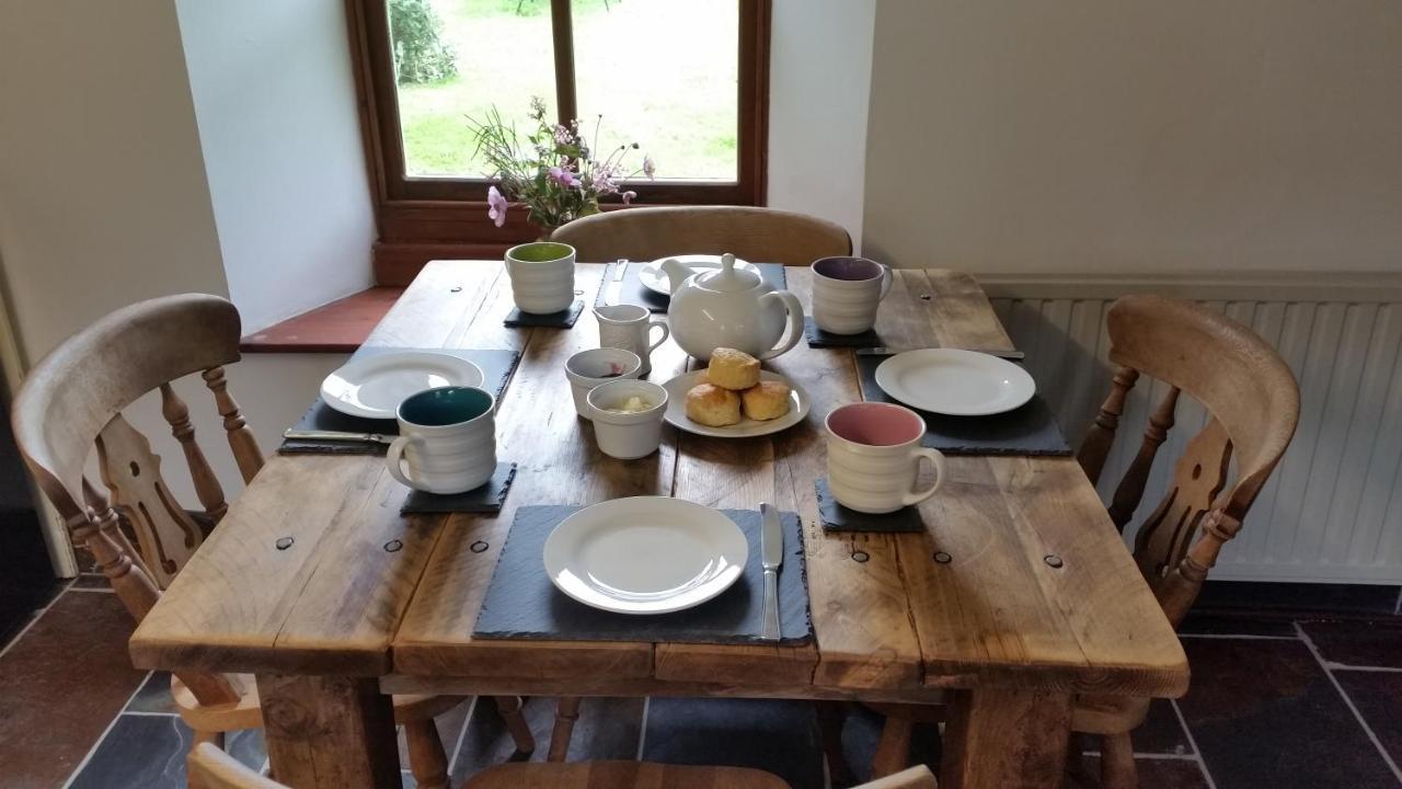 Coopers Cottage Dog Friendly North Cornwall Delabole Eksteriør billede
